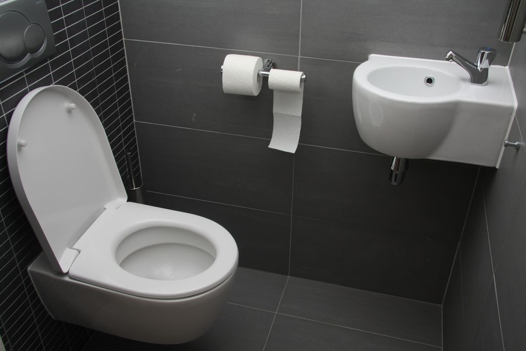 Carrelage WC sol et mur gris clair